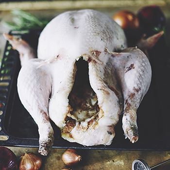 Thanksgiving Tomboy Turkey - Image 3