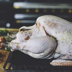 Thanksgiving Tomboy Turkey