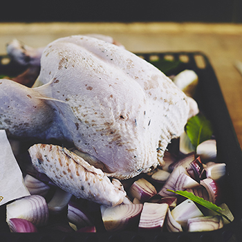 Thanksgiving Tomboy Turkey - Image 2